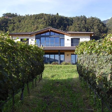 B&B Il Vigneto 멜라노 외부 사진