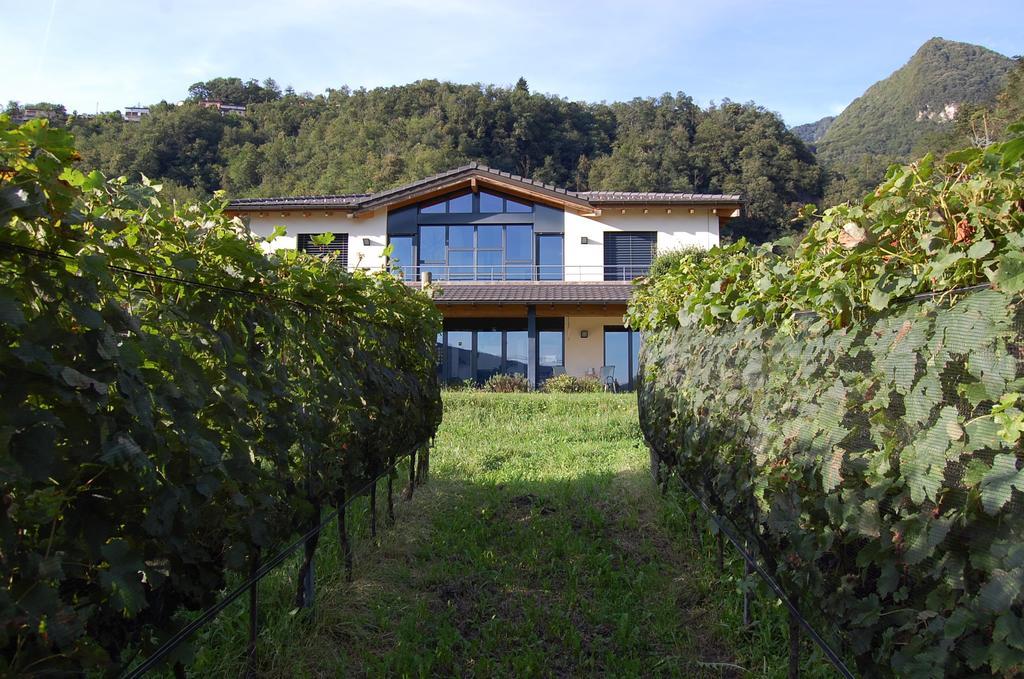 B&B Il Vigneto 멜라노 외부 사진